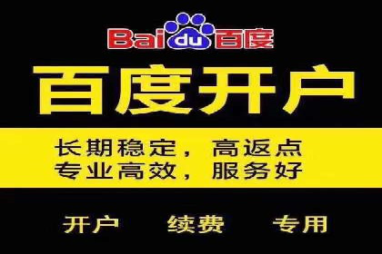 行业领先企业的SEM竞价代运营案例解析
